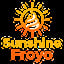 Sunshine Froyo